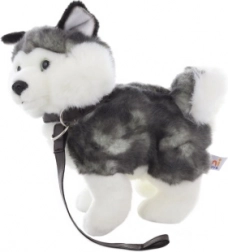 Husky di peluche con guinzaglio 25 cm