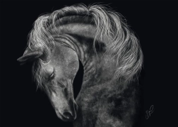 Puzzel Kracht van het Paard 1000 stukjes