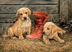 EuroGraphics puzzle Puppies with an Old Shoe 1000 pieces