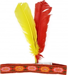 Copricapo indiano con piume