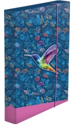 A4 Jumbo Exercise Book Box – Hummingbird
