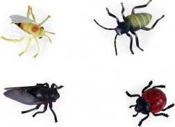 Set of Plastic Insect Models, 4 pcs