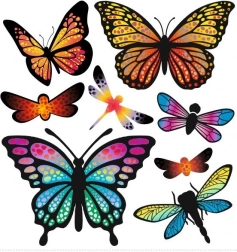 Iron-on rainbow butterfly patches