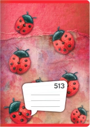 quaderno A5, 10 fogli – righe 12 mm