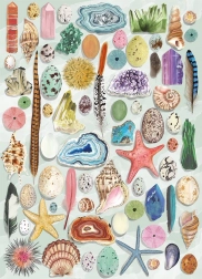 Gibsons Puzzle Natural Curiosities 1000 Pieces