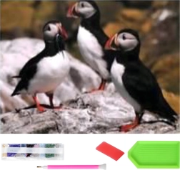 Diamantmaleri XXL 120 × 60 cm – søpapegøjer, mosaiksæt