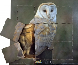 Just Jigsaws Owl and its Life Cycle - Wooden Layered Puzzle