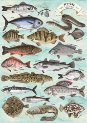 Puzzle TREFL Premium Plus Finders Keepers : poissons 500 pièces