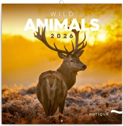 Calendario A Blocchi Animali Selvaggi 2026