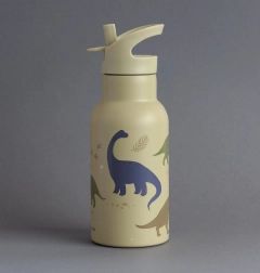 Stainless Steel Water Bottle with Dinosaur Design - 350 ml