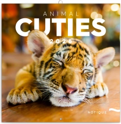 Calendario di Appunti Cuccioli 2026