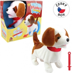 Dog Besinka with Whistle