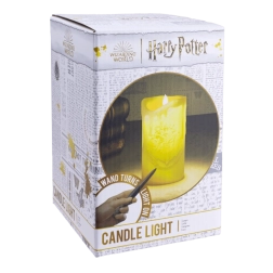 Harry Potter toverstaf zaklamp