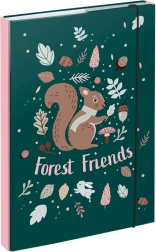 Cartelline per quaderni scolastici A4 con motivo scoiattolo BAAGL