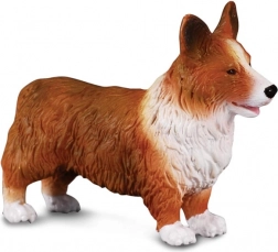 Welsh Corgi Figurine by CollectA