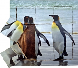 Just Jigsaws Wooden Layered Puzzle Penguin and Its Life Cycle 19 pieces