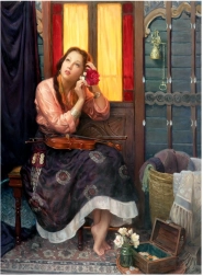 Crimson Rose Puzzle 1000 pieces