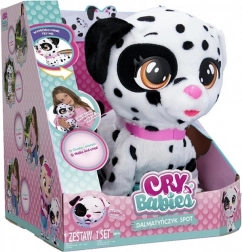 Interactive mascot Cry Babies, Dalmatian Spot