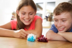 MAC TOYS Growing Crystals – Experimental Kit for Kids (14+)