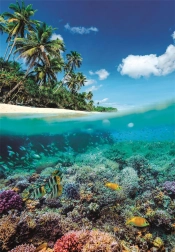 Puzzle Paradiso estivo 1000 pezzi di Clementoni