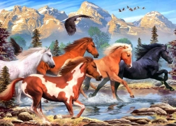 Puzzle ALIPSON Wild and Free 500 pieces