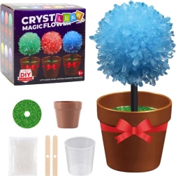 Magic Crystal Tree – Experiment for Children