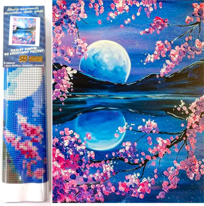 Norimpex diamantové malování Vycházející měsíc 30x40 cm