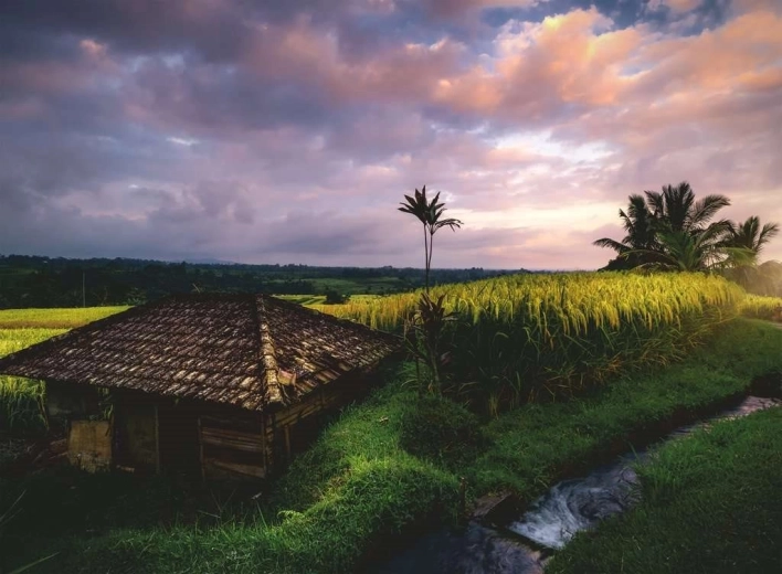 Puzzle Bali Rice Fields 500 pieces