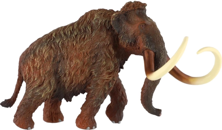 Authentische Textur und Farbgebung