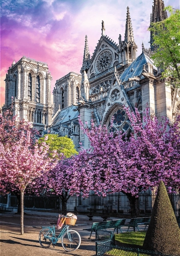 TREFL Puzzle Premium Plus Photo Odyssey – Notre‑Dame Cathedral in Paris (1000 pieces)