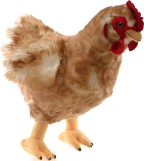 Plush Chicken