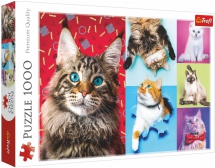 Puzzle Happy Cats 1000 pieces 68.3x48 cm in a box 40x27x6 cm