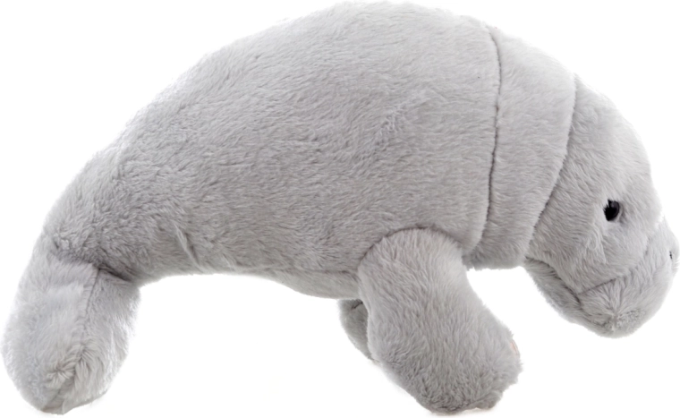 Adorable design for the kids’ room