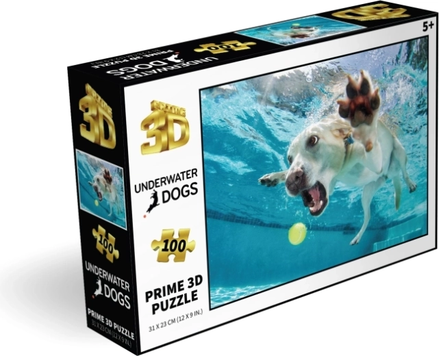 100 pieces for smart fun