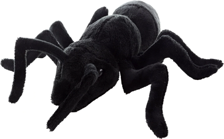 Lightweight and easy-to-carry companion