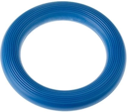 Ringo Tullo Blue