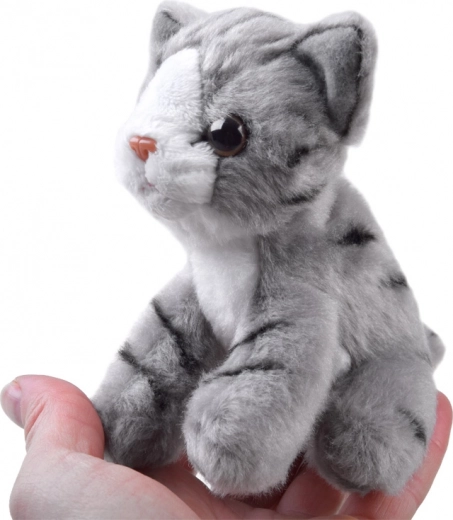 Ideální velikost do ruky