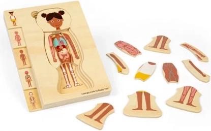 Bigjigs Toys fa anatómia puzzle – lány