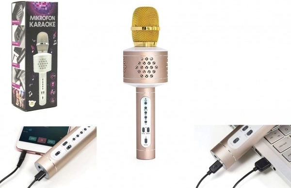 Bluetooth Karaoke Microphone with Speaker and Echo Effect – Gold