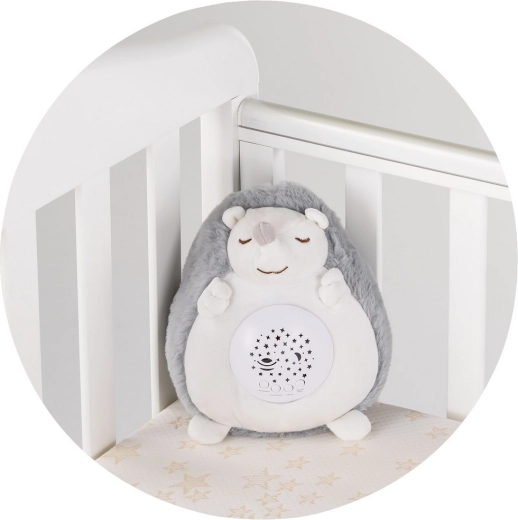 Entretien facile et conception sécurisée