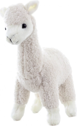 Kompaktní rozměry na doma i na cesty