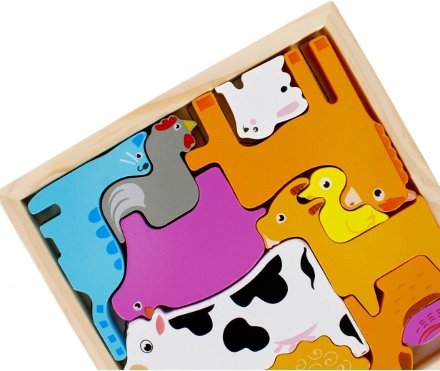 Pratica cornice in legno