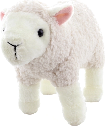 Lightweight and compact for home and travel