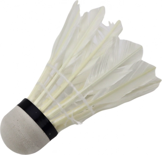 Přesný a stabilní let