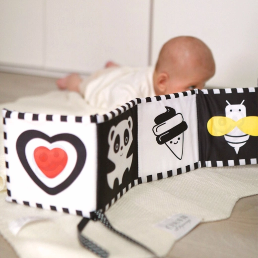 High-contrast visual stimulation