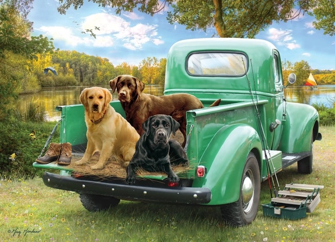 Cobble Hill Puzzle Let's Go Fishing 500 Pieces