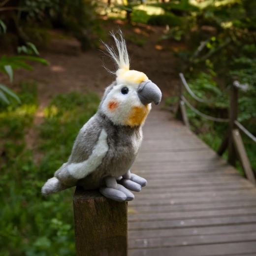 Bezpečná volba pro nejmenší