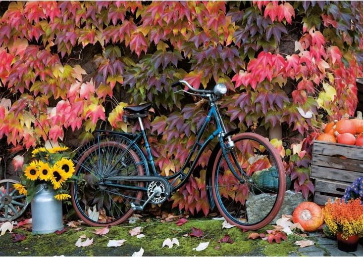 Puzzle Magic of Autumn 1000 pieces PIATNIK