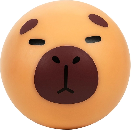 Cute capybara design