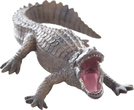 Compacte afmetingen en eenvoudige opslag